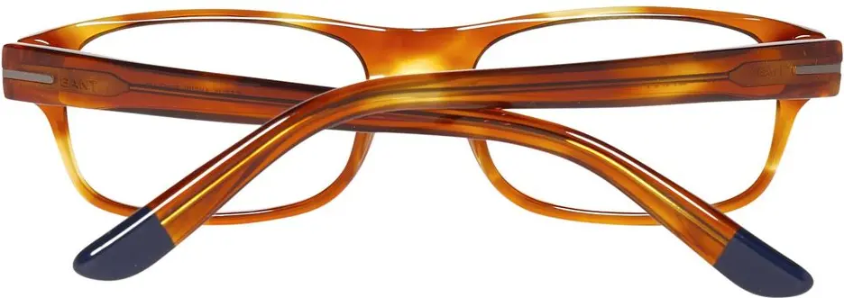 Glasses Gant GFELIXAMBHN53