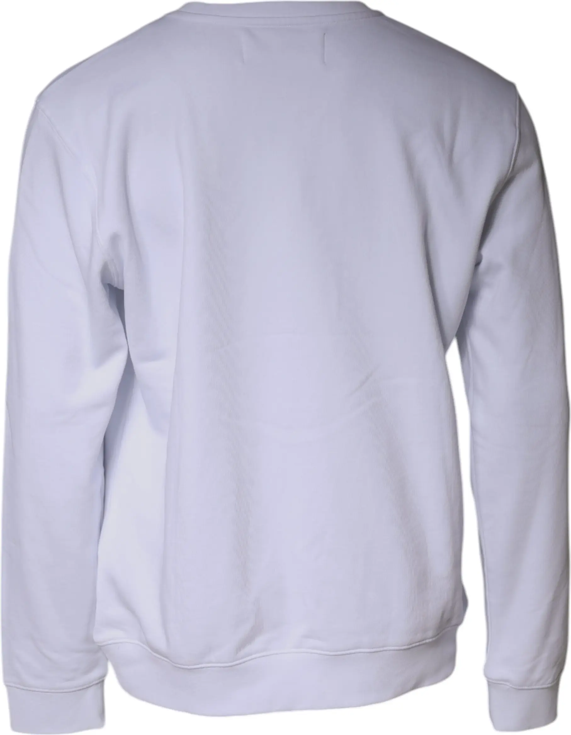 Sweatshirt Sviter Replay