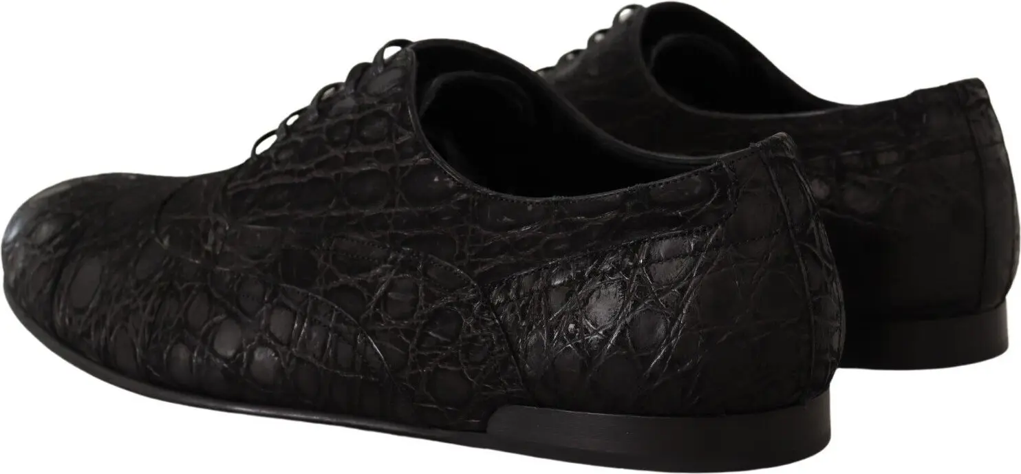 Оксфорды Dolce & Gabbana