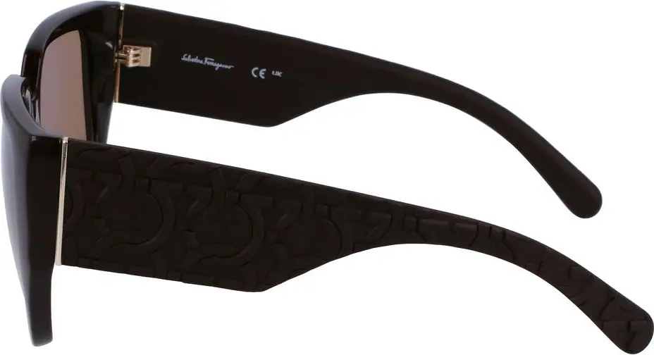 Sunglasses Ferragamo