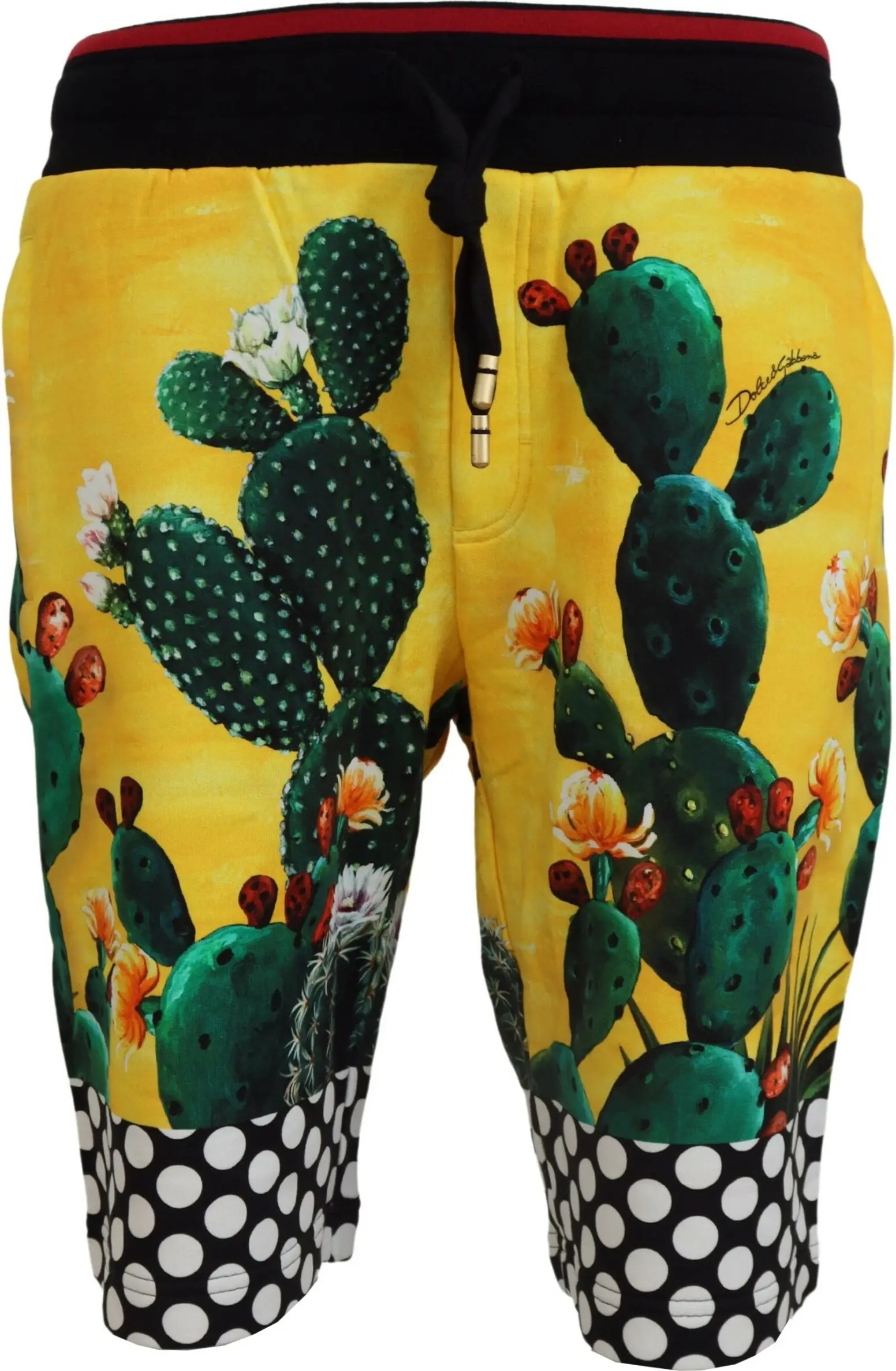 Dolce & Gabbana dan svitshot