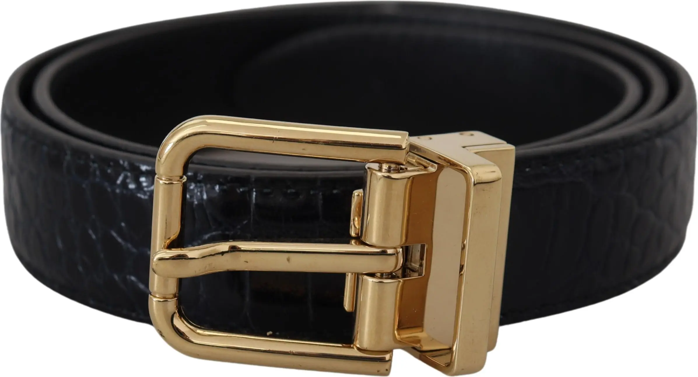 Belt Dolce & Gabbana Black Exotic Leather Gold Metal Buckle Belt