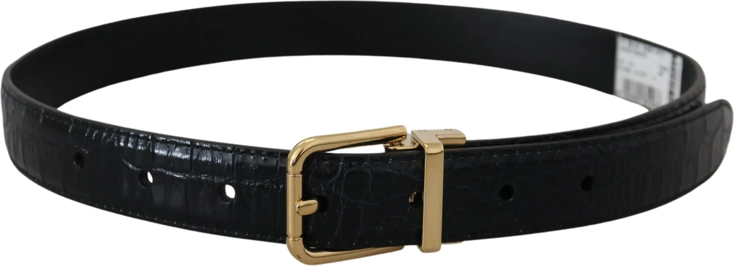Belt Dolce & Gabbana Black Exotic Leather Gold Metal Buckle Belt