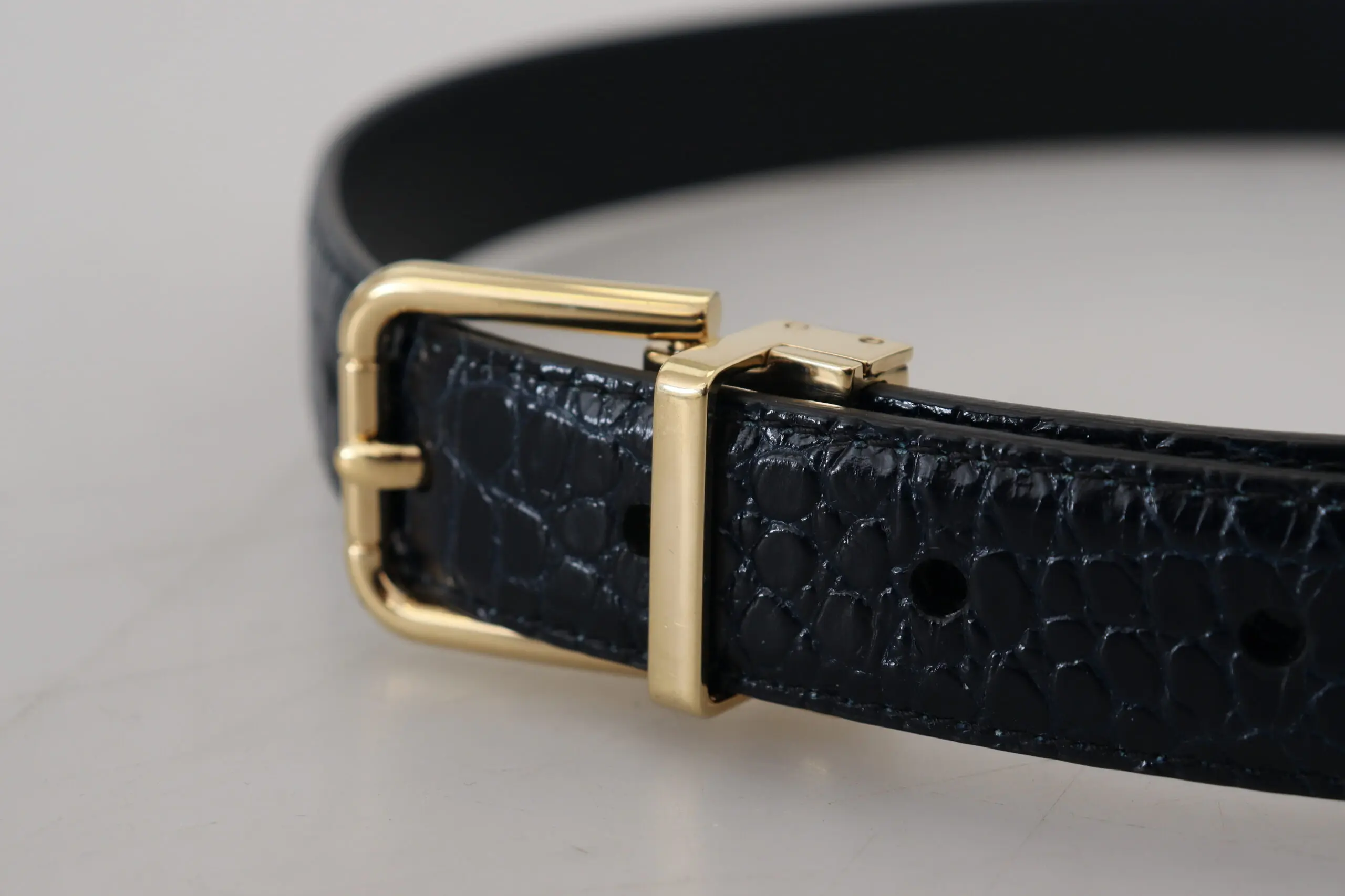 Belt Dolce & Gabbana Black Exotic Leather Gold Metal Buckle Belt
