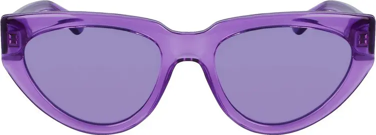 Sunglasses Karl Lagerfeld Purple Injected Sunglasses
