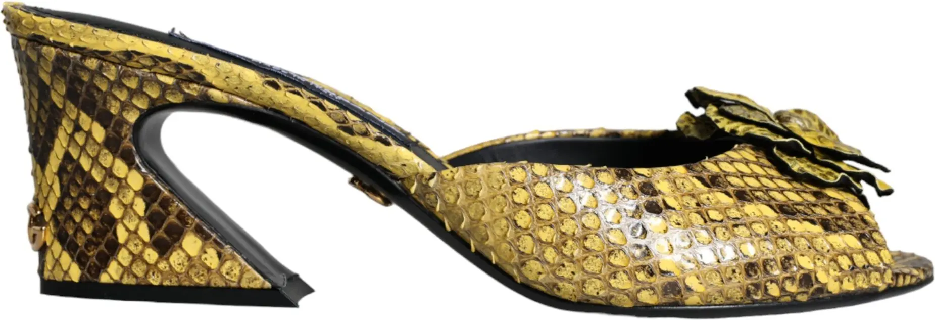 Heels Slides Shoes Dolce & Gabbana
