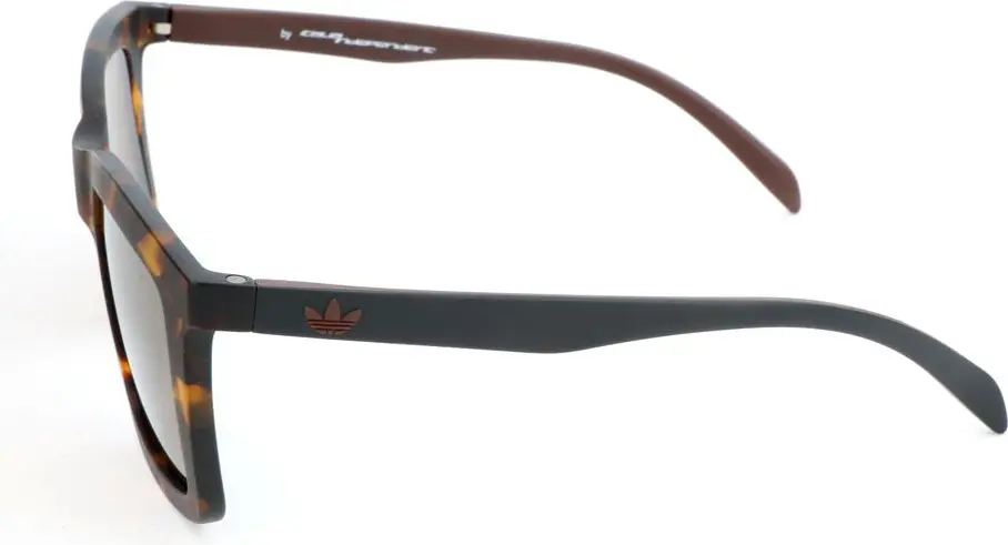 Sunglasses Adidas Brown Acetate