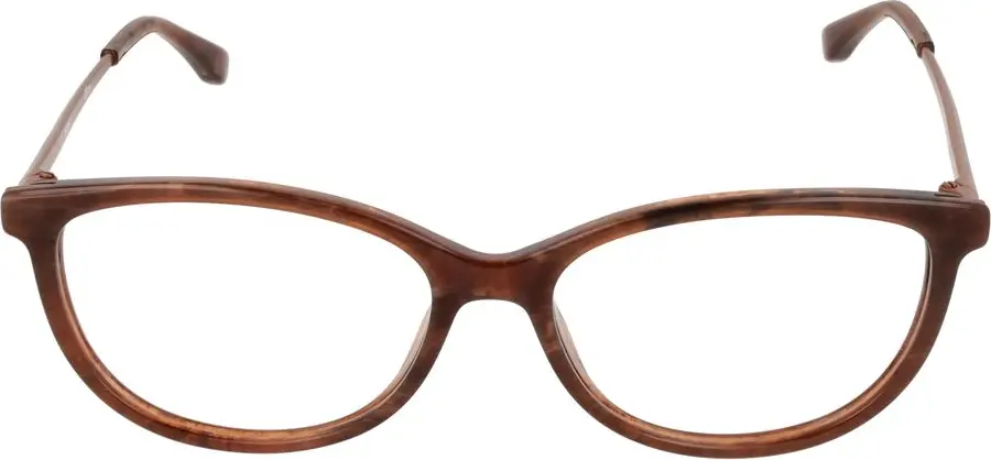Glasses Hugo Boss