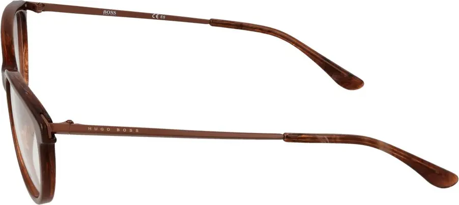 Glasses Hugo Boss
