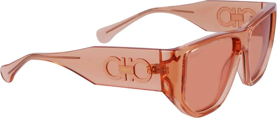 Sunglasses Ferragamo Orange Injected