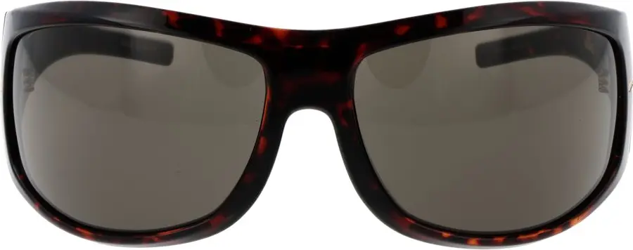 Sunglasses Hugo Boss