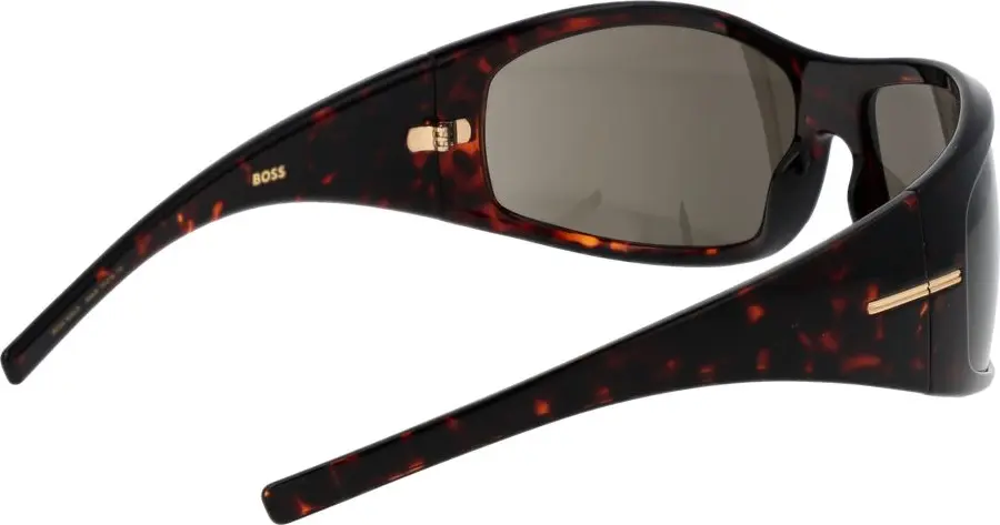 Sunglasses Hugo Boss