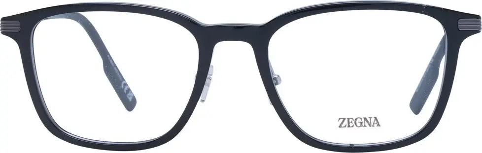 Glasses Ermenegildo Zegna