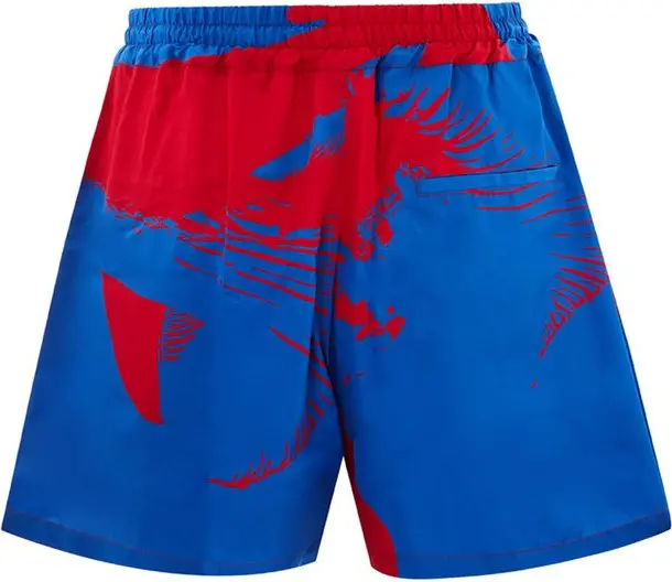 Bottega Veneta Boxeur Shortlari