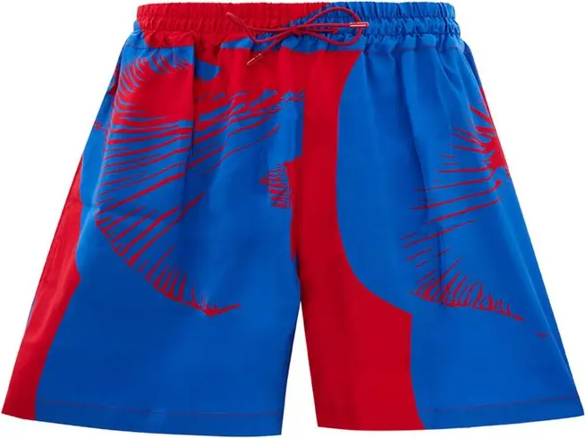 Bottega Veneta Boxeur Shortlari