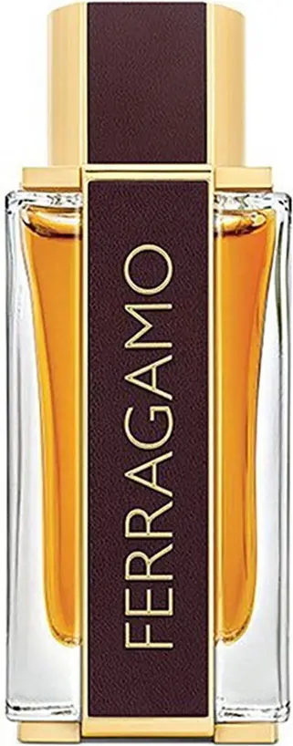 Ferragamo Кожаный Сперлый
