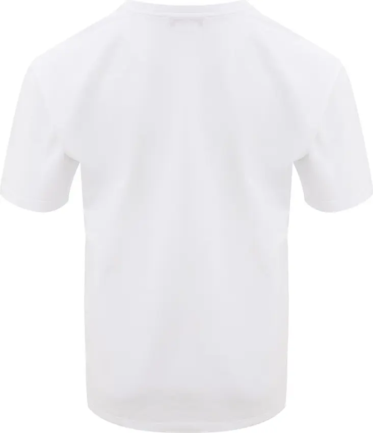 Футболка Alexander McQueen