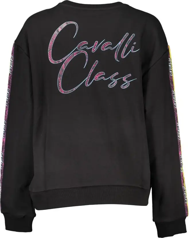 Джемпер Cavalli CLASS