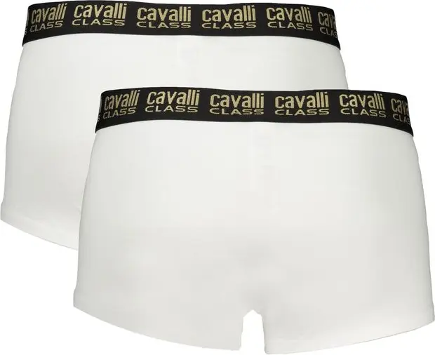 Мужские боксеры Cavalli CLASS