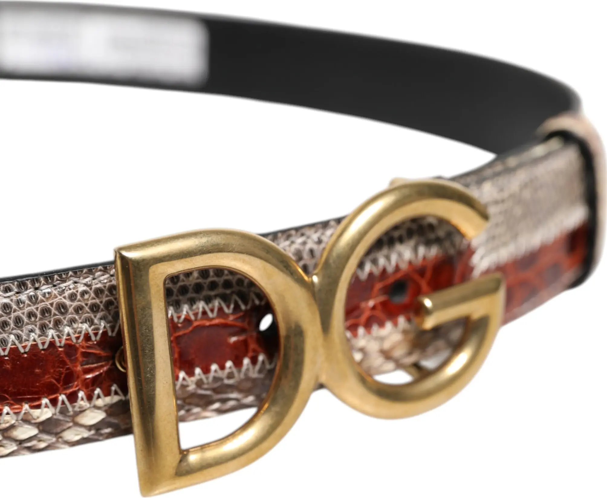 Dolce & Gabbana(-& Gabbana) Ko'p rangli ekzotik charm Dg logotipli tokali kamar