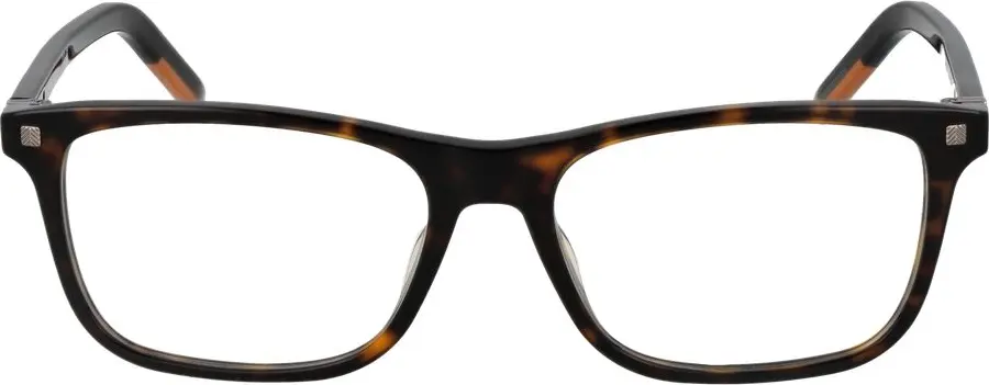 Glasses Ermenegildo Zegna