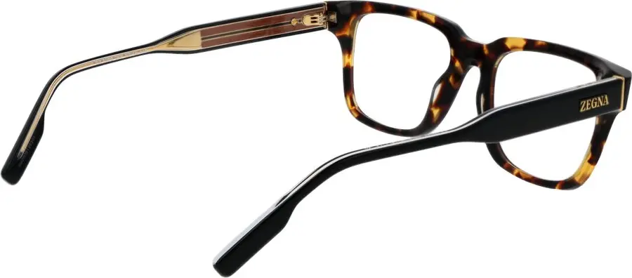 Brown Acetate Glasses (Frames) Ermenegildo Zegna