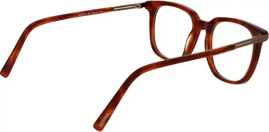 Ermenegildo Zegna ko'zoynak ramkalari