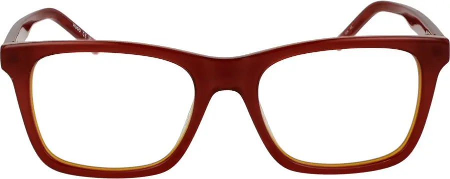 Glasses Hugo Boss