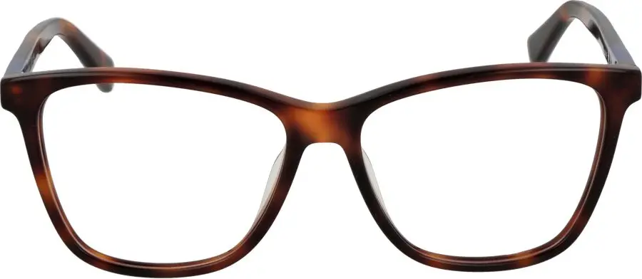 Glasses Longchamp