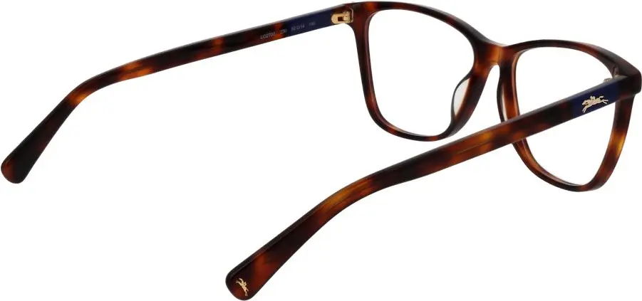 Glasses Longchamp