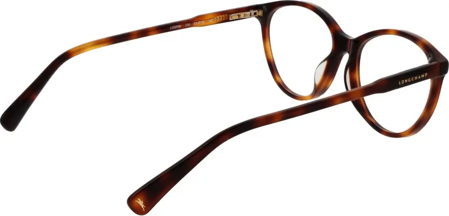 Glasses Frames Longchamp