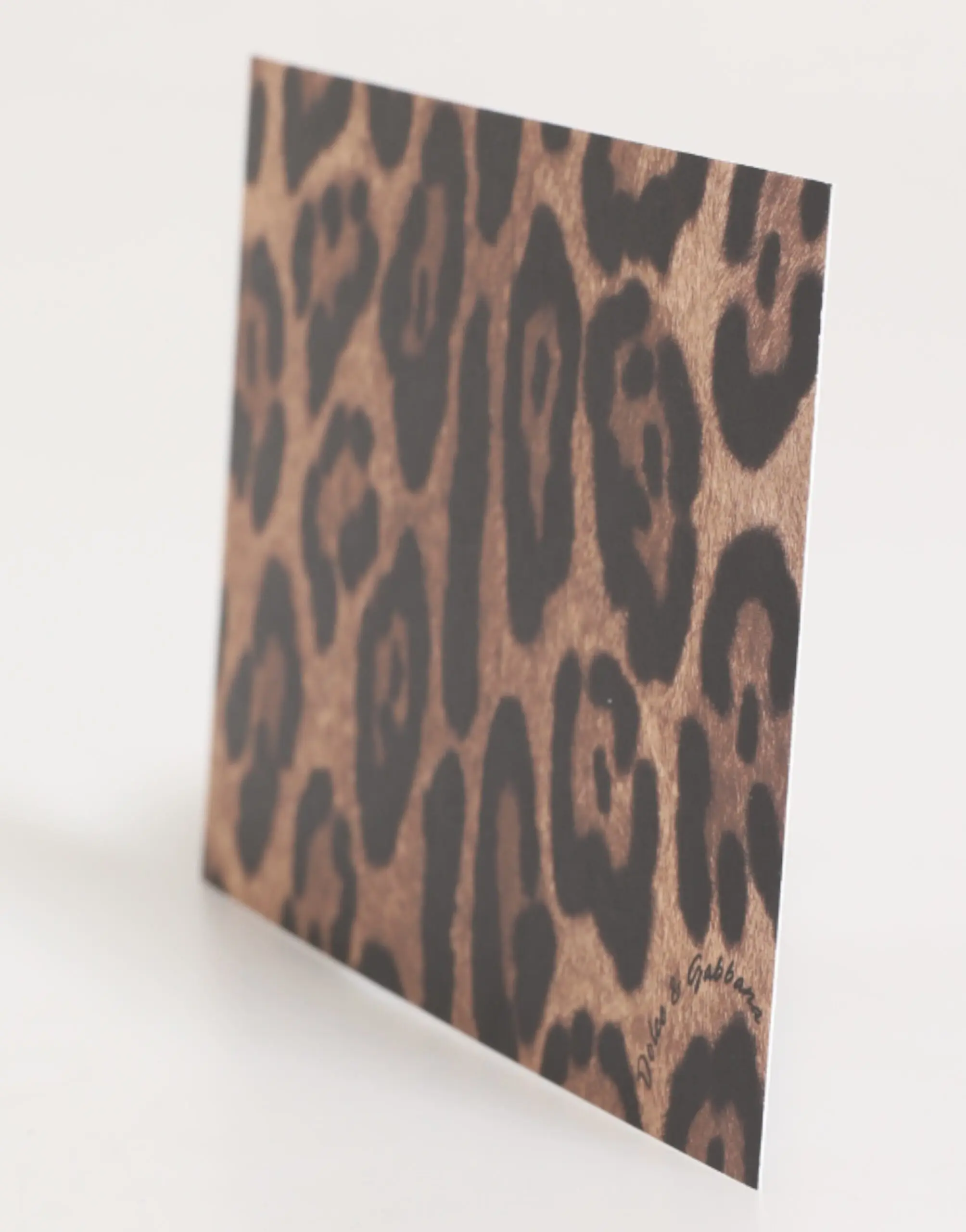 Post Card Holder Dolce & Gabbana