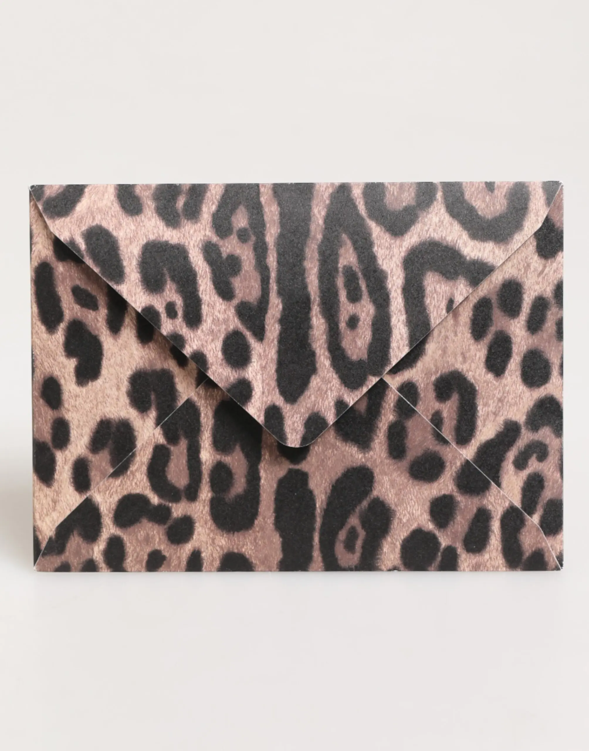 Post Card Holder Dolce & Gabbana