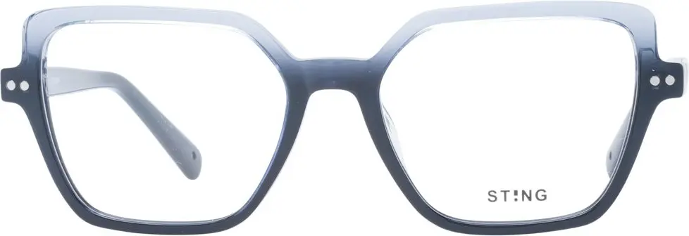 Glasses Frames Sting