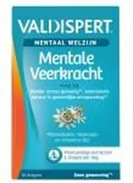 Supplement Valdispert Mental Strength