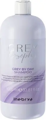 Шампунь Inebrya Greylosophy Grey By Day Reflexion