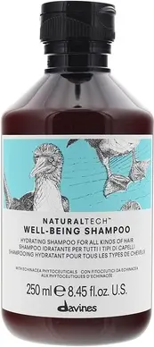 Шампунь Davines Wellbeing