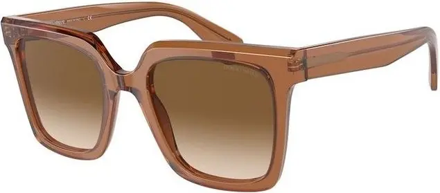Brown Acetate Sunglasses Giorgio Armani
