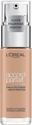 Liquid Foundation L'Oreal Professional Accord Parfait