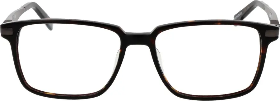 Brown Plastic Glasses (Frames) Spy