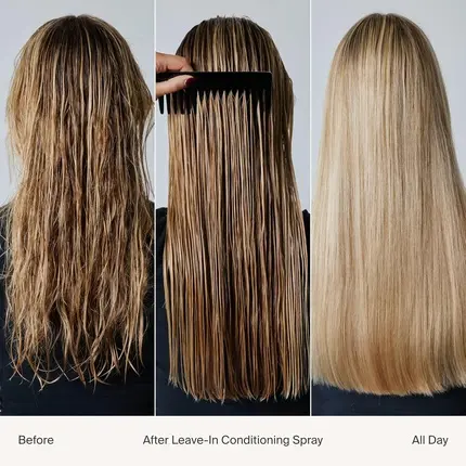 Leave-In Conditioner Living Proof Product Name