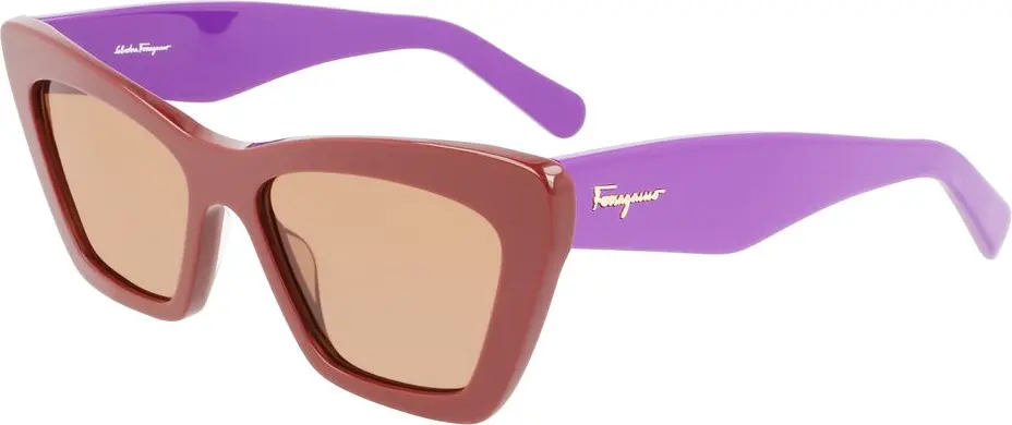 Acetate Sunglasses Ferragamo