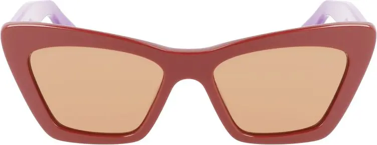 Солнцезащитные очки из ацетата Ferragamo