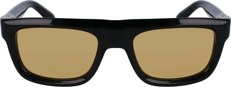 Sunglasses Ferragamo Black Acetate Sunglasses