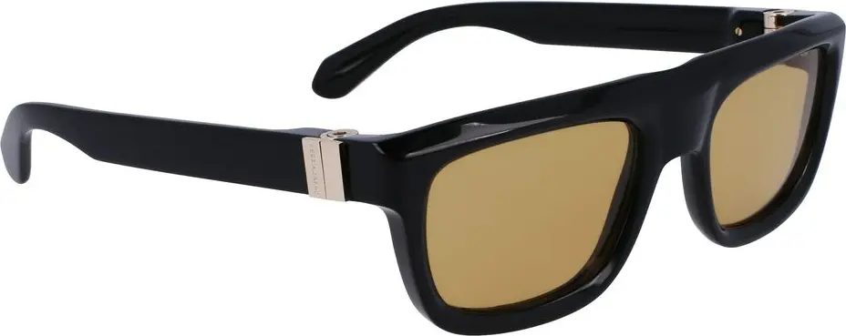 Sunglasses Ferragamo Black Acetate Sunglasses