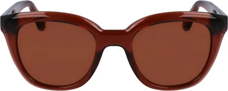 Sunglasses Ferragamo Brown