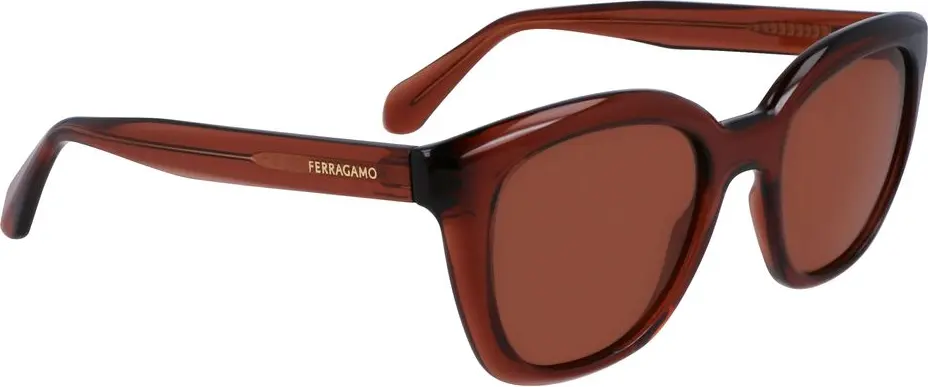 Sunglasses Ferragamo Brown