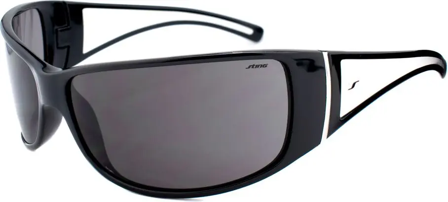 Sunglasses Sting