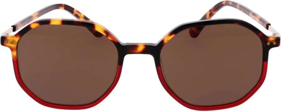 Brown Plastic Sunglasses Replay
