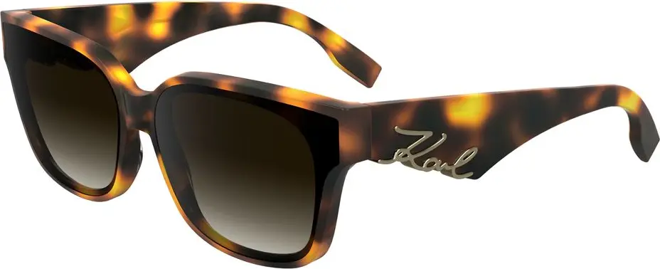 Brown Acetate Sunglasses Karl Lagerfeld